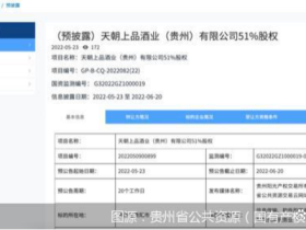 天朝上品沦为茅台“弃子”之后,又因商标侵权纠纷被告上法庭!