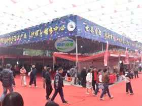 2025年沙琅三月三文化节暨第四十四期“沉香山大讲堂”成功举行