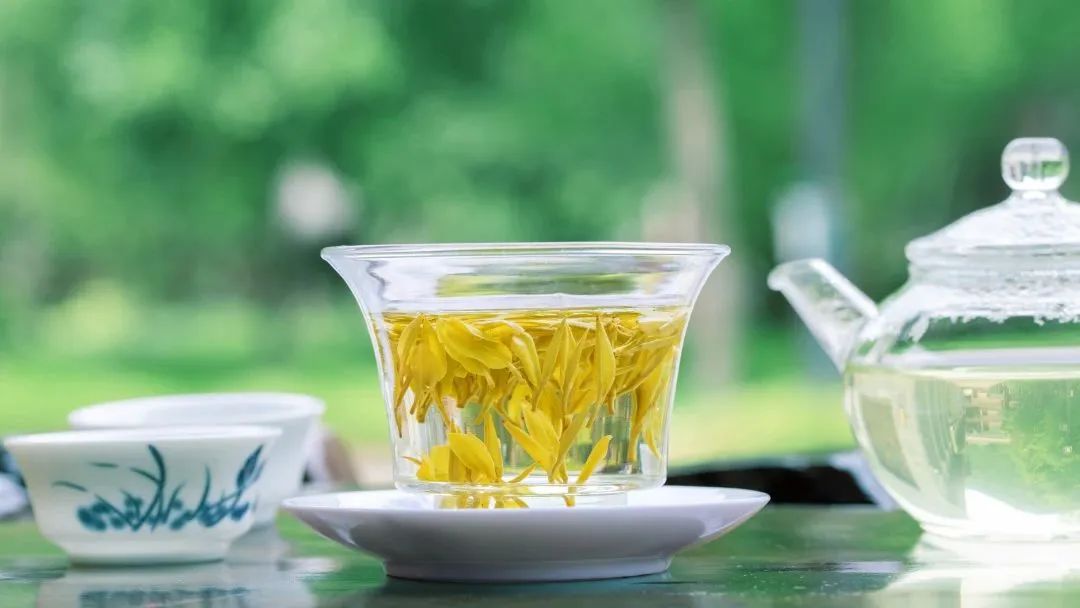 问茶米仓山 | 走,采茶去!旺苍最全采茶攻略请查收~