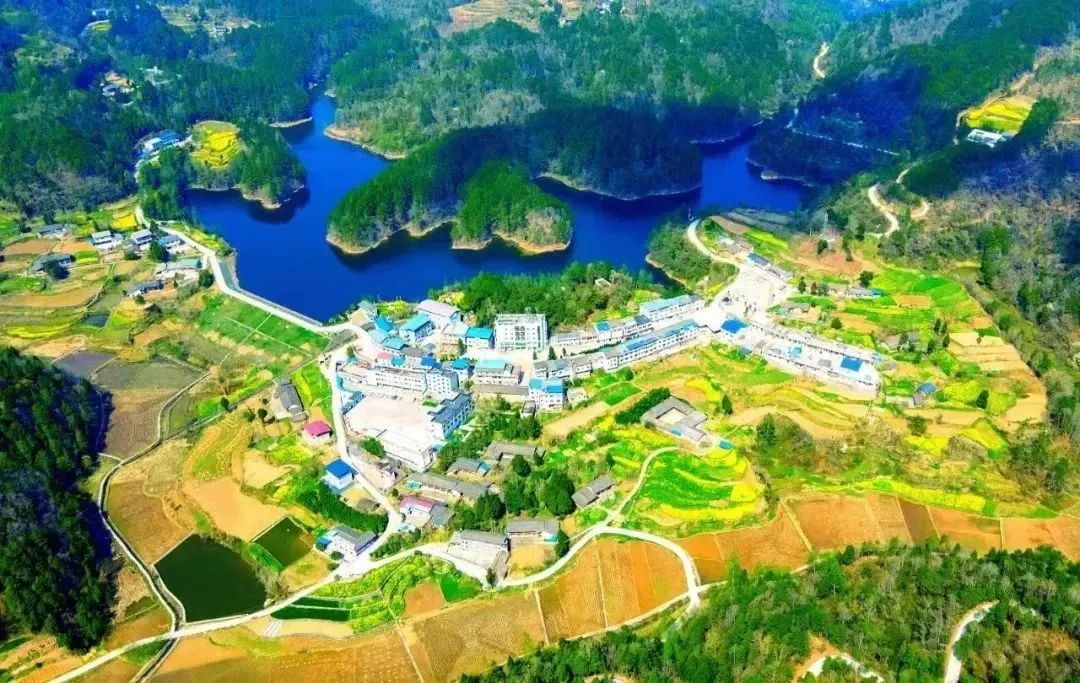 问茶米仓山 | 走,采茶去!旺苍最全采茶攻略请查收~