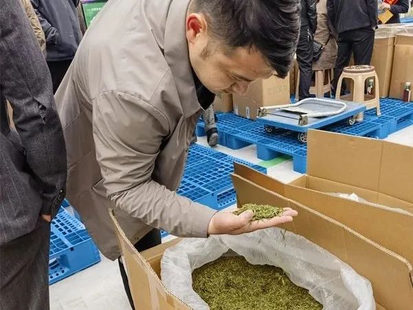 开市首日,400余商家入驻中国贵州茶叶交易中心!